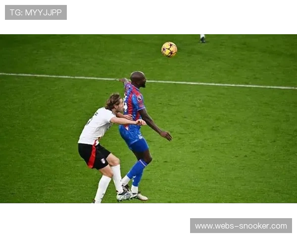 狼队0-2不敌水晶宫，老鹰客场带走胜利